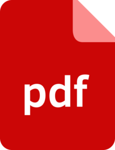 pdf-icon-2