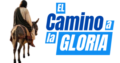 Boletín 1052